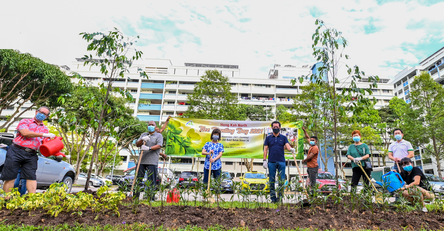 hkn-tree-planting-edited-1