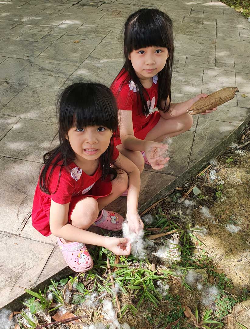 Franky’s daughters, 8-year-old Shiaw Jing and 5-year-old Shiaw Qian, showing off their soft, silky find.