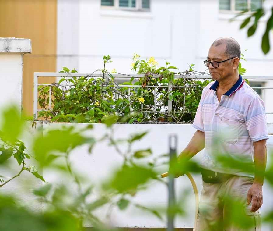 Uncle Tey has to take extra care to water the plants nowadays, due to the hot weather.