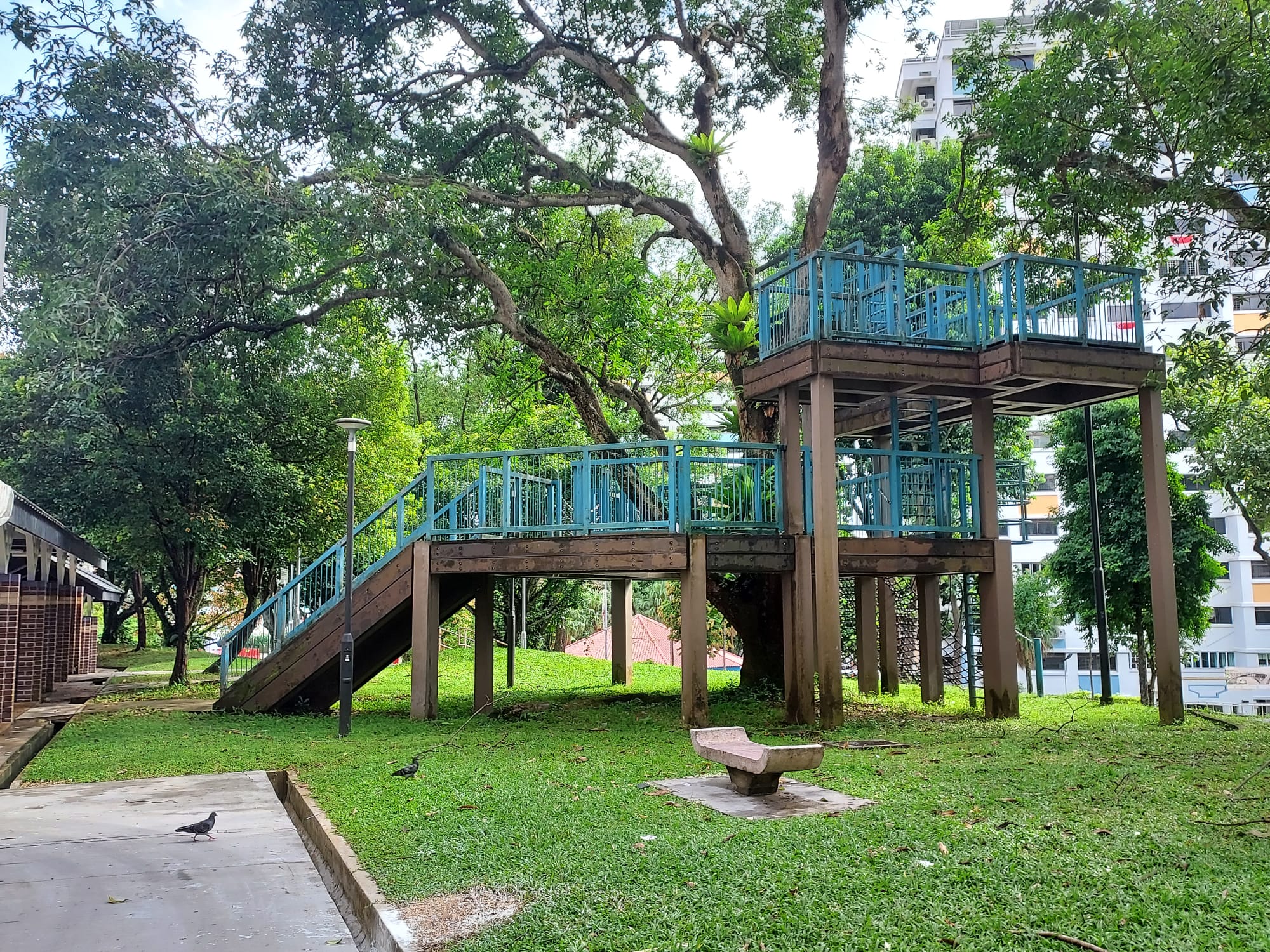 CCK estate: A short walk away from the playground is this treetop observation deck at Block 10 Teck Whye Ave for some real nature spotting.