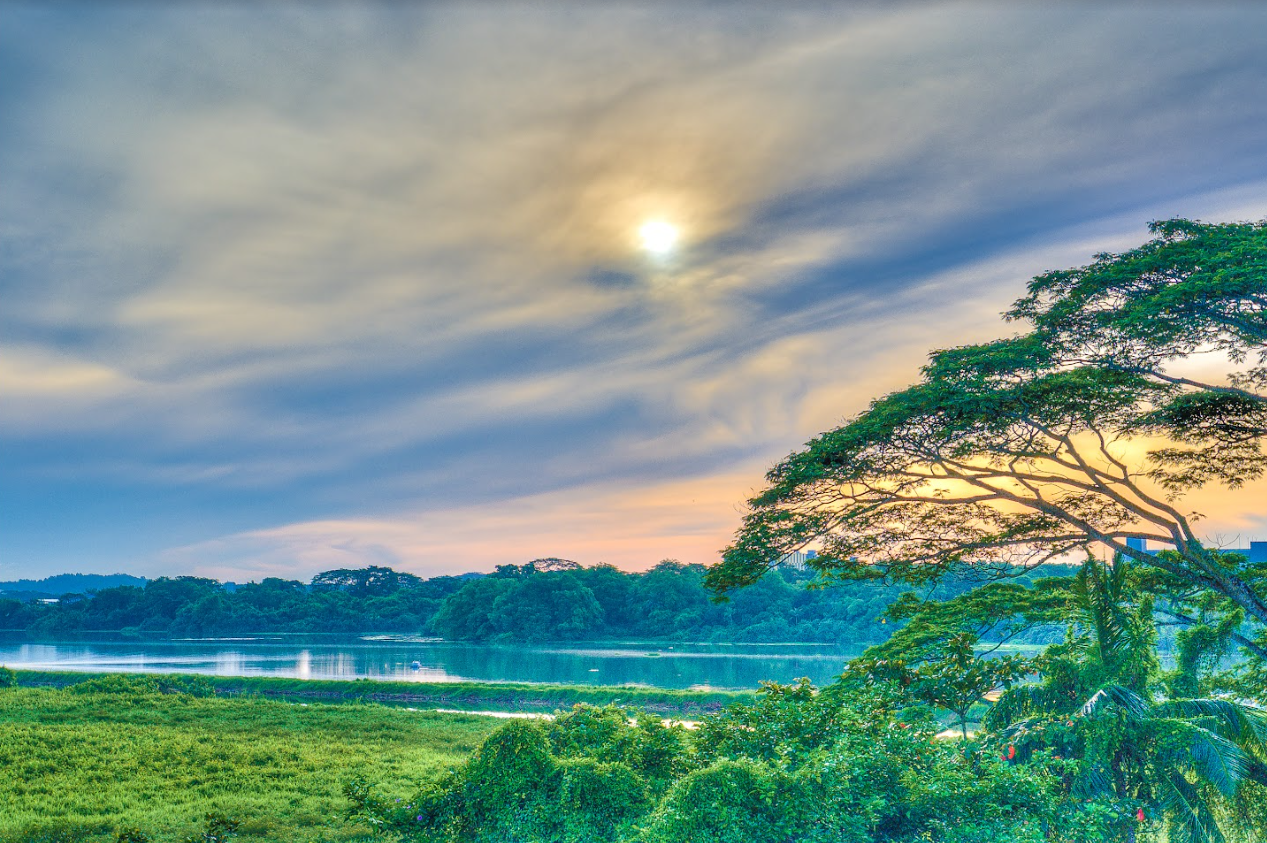 Panorama of Kranji Marshes and Kranji Reservoir from Raptor Tower. Photo by Yong Kuo Hoong