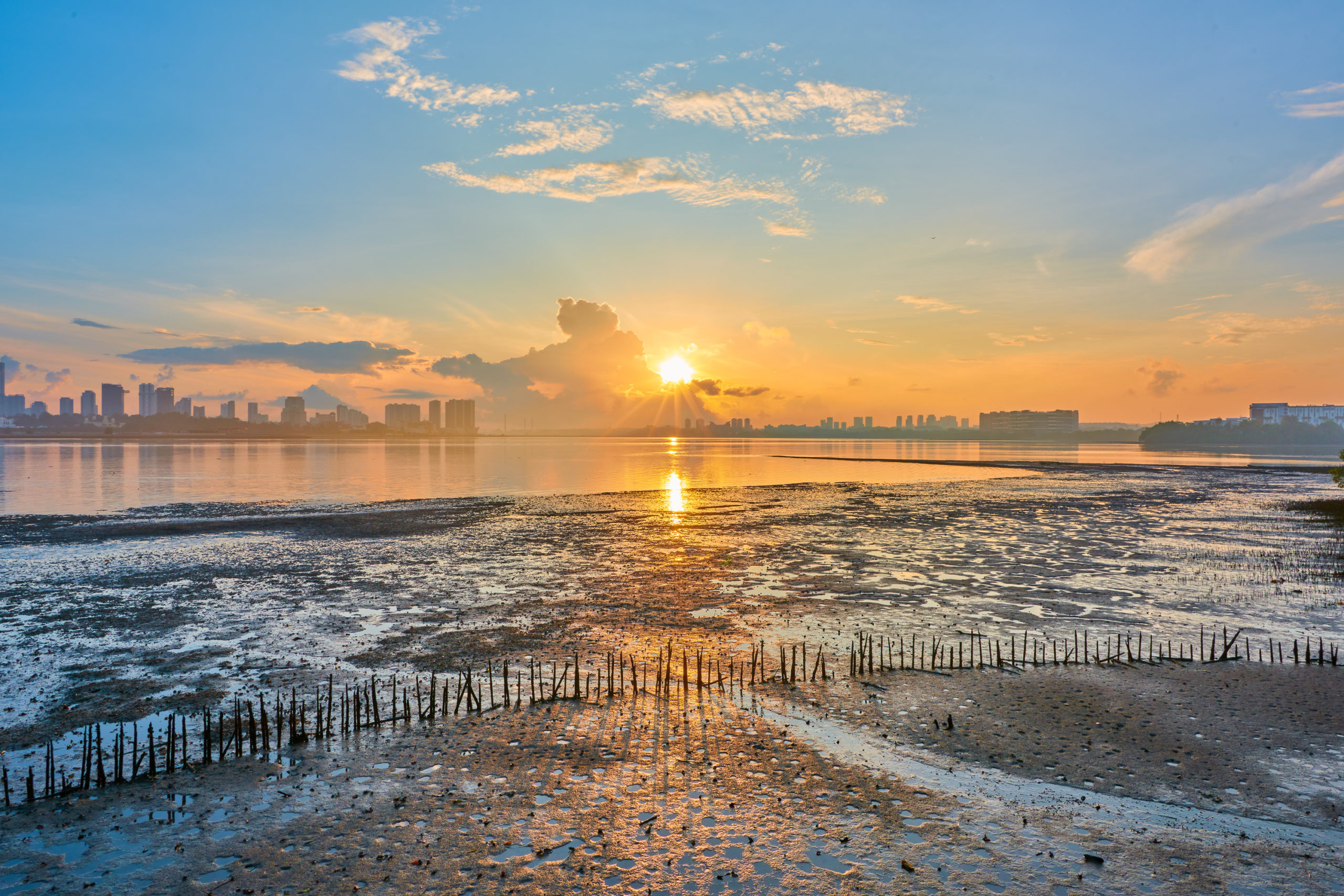 Yong Kuo Hoong (Hong Kah North) wows with his sunrise over the mudflats of Sungei Buloh Wetlands Reserve.