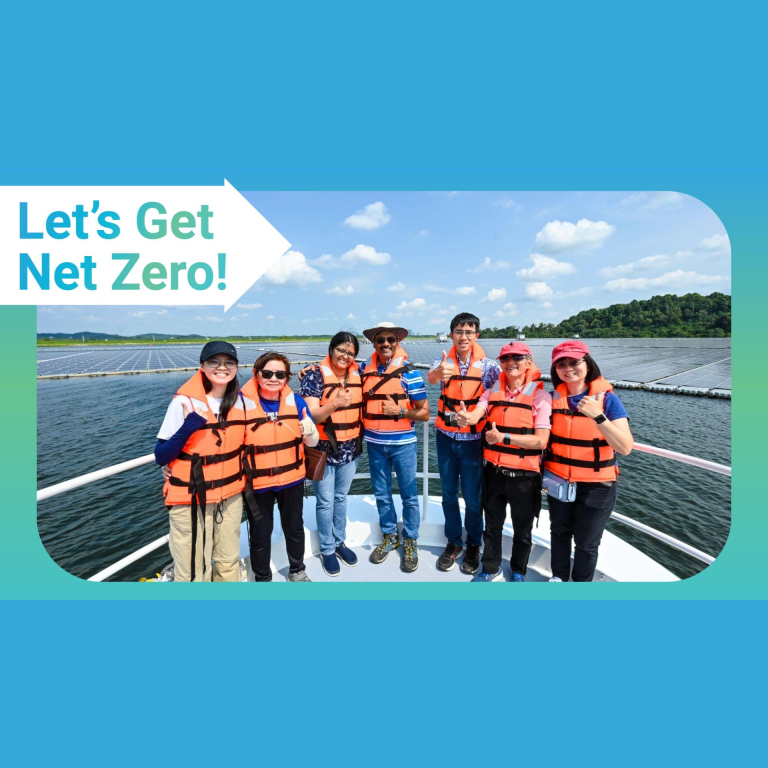 Eco New Year Resolutions: Let’s Get Net Zero