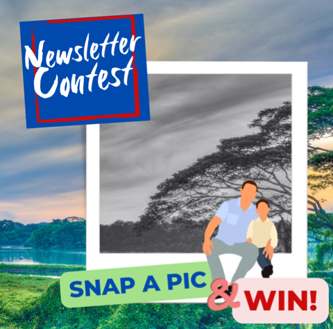 Newsletter-Contest-2