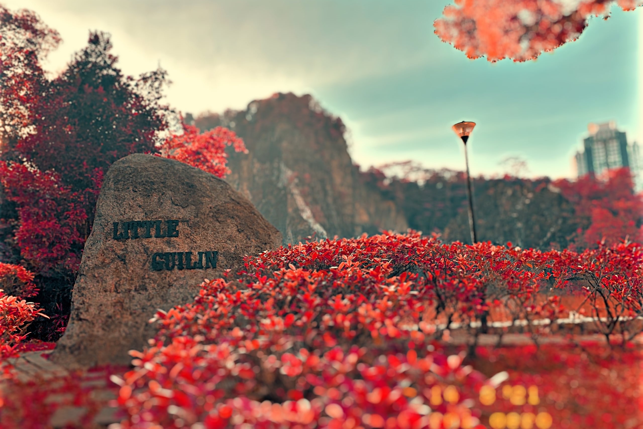 Bukit Gombak’s Alwin Saji’s photo of Little Guilin seemingly awash in autumnal colours aptly features in October.