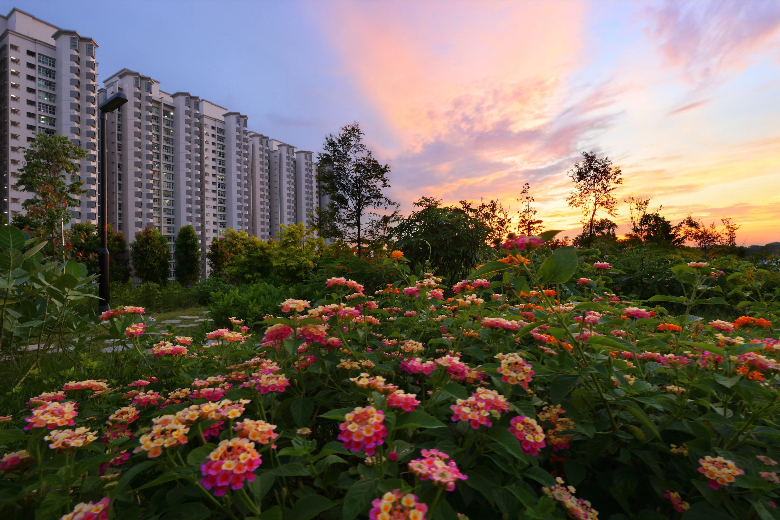 Bukit Gombak Park graces the calendar in May – photographed by friend of CCK, Ong Yi Chao, who admires the town’s natural beauty.