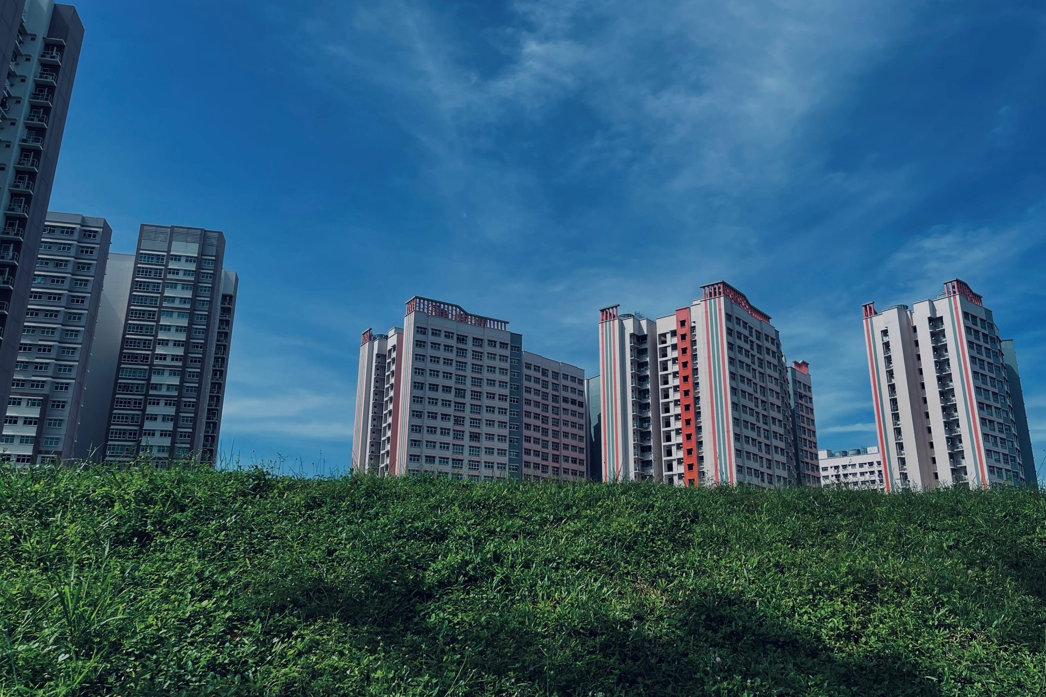 Muhammad Hidayat bin Sudin (Hong Kah North) highlights how Singapore is a garden city with plenty of greenery among HDB flats.