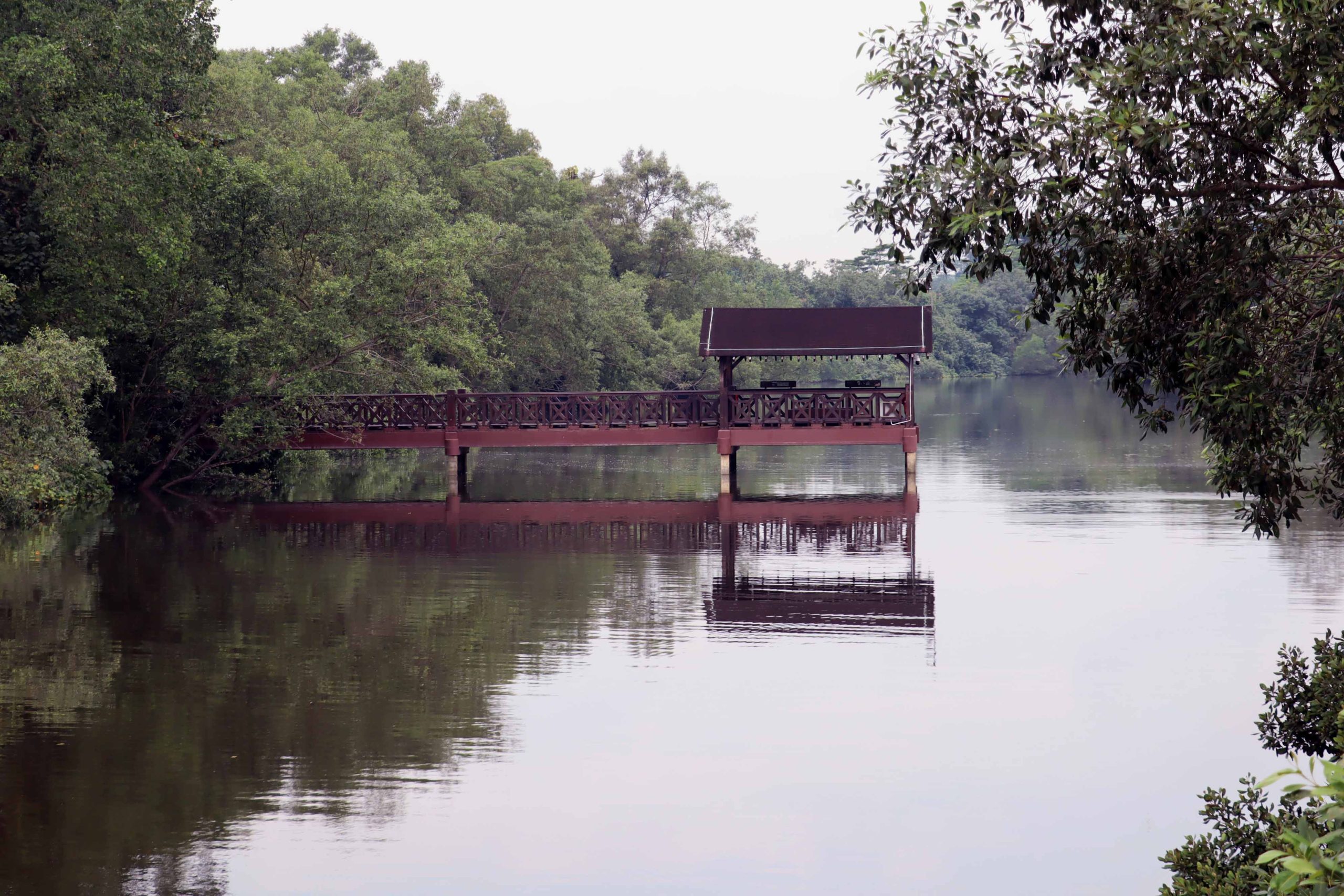 Sungei Buloh is a favoured subject for Keat Hong resident Jonathan Inal too.